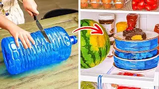 No Cost Home Organization Ideas And Life Hacks