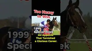 Special Week &ndash; From Lazy Champion to Record-Breaking Redemption