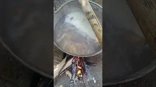 haldi #shorts #blog #food #home #farming #new