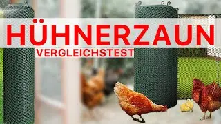 Hühnerzaun im direkten Vergleich SELFmania vs. VOSS.farming | Freilaufgehege für Hühner im Test