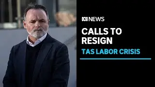 David O'Byrne vows to stay in Parliament despite Tas Labor leader's calls for him to go | ABC News