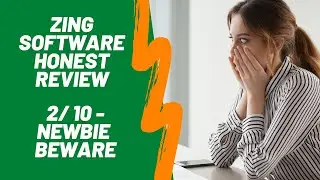 Zing Review - 2/10 Newbie Beware