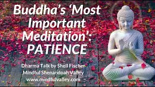 Buddha's 'Most Important Meditation': Patience - Shell Fischer Dharma Talk
