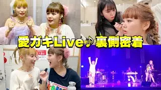 【愛ガキ】Live裏側密着！てんやわんやで夢みたいなあっという間の１日