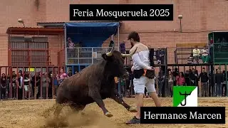  FERIA MOSQUERUELA 2025  - HERMANOS MARCEN