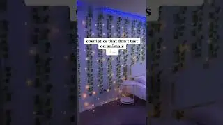 cosmetics that don't test on animals ✨☁️