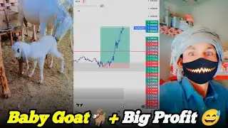 I Made $100,000 From a Single Forex Trade of eruusd