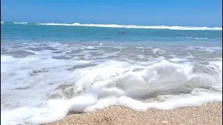 Apollo Beach Florida, just like the Beach should be...