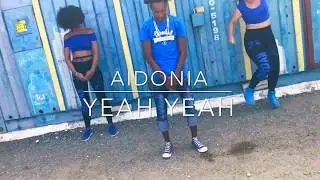LadyLis ls. AfroBee & Starboy CleanStep Skankaz ** AIDONIA- Yeah yeah **