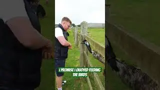 Feeding the birds is always fun😄