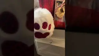 Big Bear w/Chocolate & Cider Valentine&rsquo;s Gift #trending #viralvideo #valentinesday