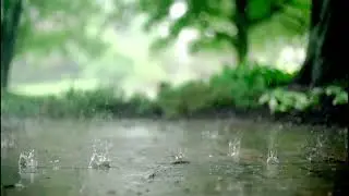 Calming Rain on a Forest Road 🌧️🌲 | Deep Sleep, Relaxation & Stress Relief Nature Sounds