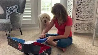 ClickFunnels -Why the OFA challenge unboxing was so much fun.