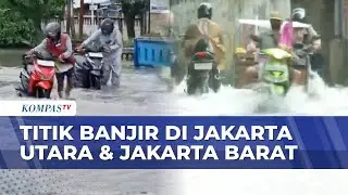 Banjir Rendam Sejumlah Titik di Jakarta Barat hingga Utara | KOMPAS PETANG