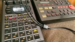 404mk2/Dr202 improv session. #404mk2 #roland #hiphop  #synth #beats  #beatmaking #production