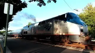Amtrak Train Street Runner