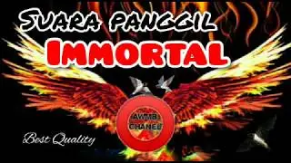 SP Immortal by AWMB CHANEL, dijamin nginep..!