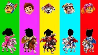 Wrong eyes👀 PAW Patrol NEW EPISODES Compilation Road a Horse Paw Patrol   DAME TU COSITA Wrong Head