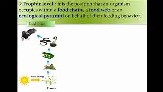 TROPHIC LEVEL.                                       For 10th, 12th and NEET'S students.