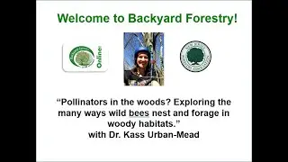BYF April 2025 Pollinators in the Woods