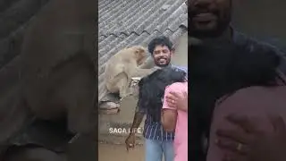 # ho my god😱😱😱 enga vettuku va monkey🐒🐒🐒