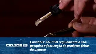 Cannabis: ANVISA regulamenta o uso, pesquisa e fabrica&ccedil;&atilde;o de produtos feitos da planta