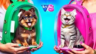 Cat vs Dog Challenge! College Life & Pet Care Tips