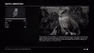 Red Dead Redemption 2  - Coastal Owl Spawn location