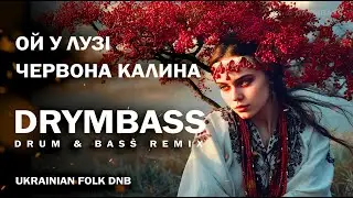 DrymBass. Ой у лузі червона калина - Oh, the Red Viburnum in the Meadow. Ukrainian Drum & Bass Remix