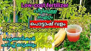 ഇതൊരൊറ്റ സ്പ്രേ മതി തക്കാളിയും പയറും മുളകും പറിച്ചു മടുക്കും | Krishi | Fertilizer | DIY