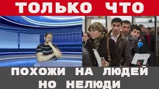 ПРОБЛЕМА МИГРАНТОВ НАЗРЕЛА И РЕШАЕТСЯ | СМЕРТЬ В КОНСУЛЬСТВЕ