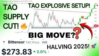 Bittensor TAO Detailed Analysis Urdu | TAO Coin Price Prediction 2026