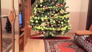 С Новым Годом