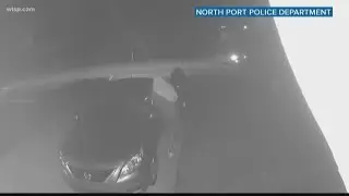 More than 100 cars broken into in North Port | 10News WTSP