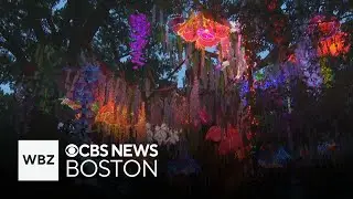 Weekend To Do List: Events in Boston, Chelmsford and Chatham