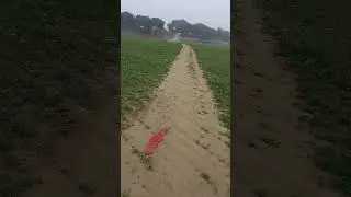 नैनिजोर में गंगा का कटाव ढाही 