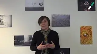 Un exemple de management horizontal en &eacute;tablissement scolaire