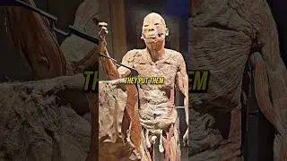 Joe Rogan Exposes Body Exhibits