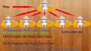 MLM Payplans - Binary vs Unilevel