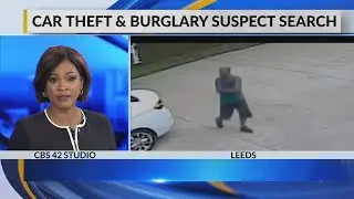 Car theft and burglary suspect Search in Leeds