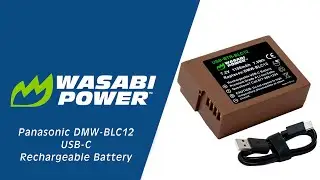 USB-C Rechargeable Panasonic DMW-BLC12 | Ginger Series | Wasabi Power