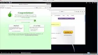Изучаем Kali Linux. Эпизод №16: Доступ к даркнету с помощью браузера Tor (часть 2)
