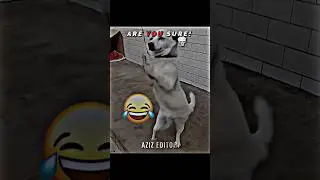 Dancing Dog ☠️ #dog #dancing #edit