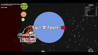 cell.sh (like agar.io) destroying