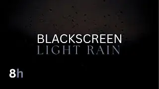 8 Hours of Soft Rain 🌧️ Black Screen for Deep Sleep & Insomnia Relief