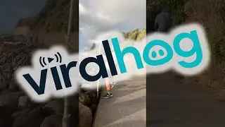 Tree Branch Kicks Back || ViralHog