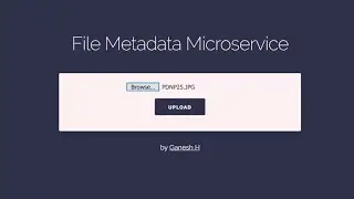 File Metadata Microservice - freeCodeCamp APIs and Microservices Project Tutorial