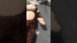 Talking Build a Bear monkey