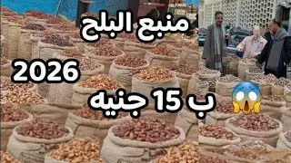 مفاجأه # ب 15 جنيه البلح 2026 ارخص تاجر وانظف بلح في سوق الساحل روض الفرج مش هتصدقوا الأسعار