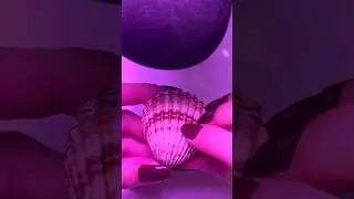 🐚ASMR | El ruido de una concha de mar #asmr #relax #sonidosrelajantesparadormir #relaxing